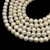 Freshwater Pearl Strand 8x7mm Off Round & Ringed Smooth Cut Ivory Color 15.5 inch Pearl Birthstone