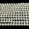 Freshwater Pearl Strand 8mm Off Round Smooth Cut Cold White Color 15.8 inch Pearl Birthstone