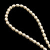 Freshwater Pearl Strand 7x5mm Drop & Button Smooth Cut Ivory Color 14.8 inch Pearl Birthstone