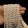 Freshwater Pearl Strand 7x5mm Drop & Button Smooth Cut Ivory Color 15.3 inch Pearl Birthstone