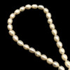 Freshwater Pearl Strand 7x5mm Drop & Button Smooth Cut Ivory Color 15 inch Pearl Birthstone