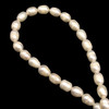 Freshwater Pearl 10x7mm Button/Drop Smooth Cut Bridal White Color 15.5 inch Strand