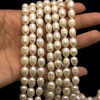 Freshwater Pearl 11x8mm Button/Drop Smooth Cut Ivory Color 15.3 inch Strand