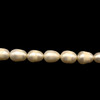Freshwater Pearl 9x7mm Button Smooth Cut Bridal White Color 15.3 inch Strand
