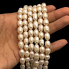 Freshwater Pearl 9x7mm Button Smooth Cut Bridal White Color 15.3 inch Strand