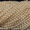 Freshwater Pearl 7x5mm Button/Drop Smooth Cut Cold White Color 15 inch Strand