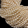 Freshwater Pearl 8x5mm Button/Drop Smooth Cut Ivory Color 15" Strand