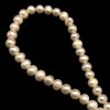 Freshwater Pearl 7x6mm Button/Ringed Smooth Cut Cream Color 15.9" Strand
