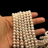 Freshwater Pearl 7x6mm Button/Ringed Smooth Cut Cream Color 15.9 inch Strand