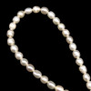 Freshwater Pearl 7x5mm Button/Drop Smooth Cut Ivory Color 14.9 inch Necklace Strand
