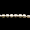 Freshwater Pearl 7x5mm Button/Drop Smooth Cut Ivory Color 14.9 inch Necklace Strand