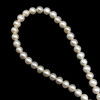 Freshwater Pearl 6mm Off Round Smooth Cut Cream Color 15.5 inch Strand