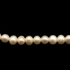 Freshwater Pearl Strand 6mm Round Smooth Cut Cream Color 15.7 inch June Birthstone