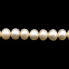 Freshwater Pearl 7mm Button Smooth Finish Ivory Color June Birthstone 15.8 inch Strand