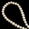 Freshwater Pearl 10x8mm Button Smooth Cut Bridal White Color 15.6 inch Strand