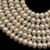 Freshwater Pearl 8mm Button Smooth Cut Ivory Color 15.7 inch Strand  June Birthstone