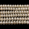 Freshwater Pearl 8mm Button Smooth Cut Ivory Color 15.7 inch Strand  June Birthstone