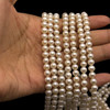 Freshwater Pearl 6mm Round Smooth Cut Ivory Color 15.8 inch Strand June Birthstone