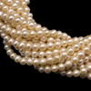 Freshwater Pearl 6mm Round Smooth Cut Ivory Color 16 inch Strand June Birthstone