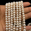 Freshwater Pearl Button/Ringed 7x6mm Smooth Cut White Color 15.8 inch Necklace Strand
