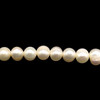 Freshwater Pearl Strand 7x6mm Button/Ringed Smooth Cream Color 15.6 inch June Birthstone