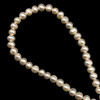 Freshwater Pearl 7x6mm Button Ringed Cream Smooth Cut 15.8 Inch Necklace Strand