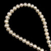 Freshwater Pearl 7x6mm Smooth Button Ringed Cut Cream Color 15.3 Inch Necklace Strand
