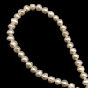 Freshwater Pearl 7x6mm Cream Button Ringed Smooth Cut 15.3" Necklace Strand