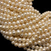 Freshwater Pearl 7x6mm Button Ringed Smooth Cream 15.6" Necklace Strand