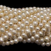 Freshwater Pearl 7x6mm Cream Color Ringed Button Smooth Cut 15.7 Inch Strand