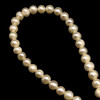 Freshwater Pearl 7x6mm Smooth Cut Ringed Button Cream 15.6 Inch Necklace Strand