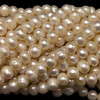 Freshwater Pearl 7x6mm Smooth Cut Ringed Button Cream 15.6 Inch Necklace Strand