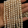 Freshwater Pearl 7x6mm Smooth Cut Ringed Button Cream 15.6 Inch Necklace Strand