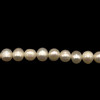 Freshwater Pearl 7x6mm Button Ringed Cream Smooth Cut  15.6 Inch Strand June Birthstone