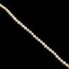 Freshwater Pearl 7x6mm Smooth Cut Button Ringed Cream Color Strand 15.5 Inch For Jewelry