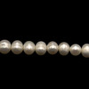 Freshwater Pearl 7x6mm Smooth Cut Button Ringed Cream Color Strand 15.5 Inch For Jewelry