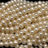 Freshwater Pearl 7x6mm Smooth Cut Button Ringed Cream Color Strand 15.5 Inch For Jewelry