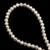 Freshwater Pearl 7x6mm White Button Ringed Smooth Cut 15.6 Inch Necklace Strand