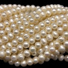 Freshwater Pearl 7x6mm White Button Ringed Smooth Cut 15.6 Inch Necklace Strand