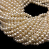 Freshwater Pearl 7x6mm Button Ringed Cream Smooth Cut 15.5" Necklace Strand