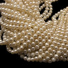 Freshwater Pearl 7x6mm Button/Ringed Smooth Cut 15.7 inch Cream Color Necklace Strand