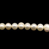 Freshwater Pearl 7x6mm Button/Ringed Smooth Cut White Color 15.8 inch Necklace Strand