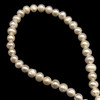 Freshwater Pearl 7x6mm Button/Ringed Smooth Cut White Color 15.8 inch Necklace Strand