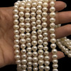 Freshwater Pearl 7x6mm Button/Ringed Smooth Cut White Color 15.8 inch Necklace Strand