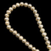 Freshwater Pearl 7x6mm Button/Ringed Smooth Cut Cream Color 15.8 inch Necklace Strand