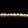 Freshwater Pearl 7x6mm Button/Ringed Smooth Cut White Color 15.7 inch Necklace Strand