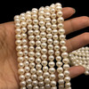 Freshwater Pearl 7x6mm Button/Ringed Smooth Cut White Color 15.7 inch Necklace Strand