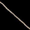 Freshwater Pearl 7x6mm Button/Ringed Smooth Cut Cream Color 15.5 inch Necklace Strand