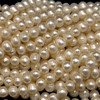 Freshwater Pearl 7x6mm Button/Ringed Smooth Cut Cream Color 15.5 inch Necklace Strand