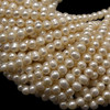 Freshwater Pearl 7x6mm Button/Ringed Smooth Cut Cream Color 15.6" Necklace Strand